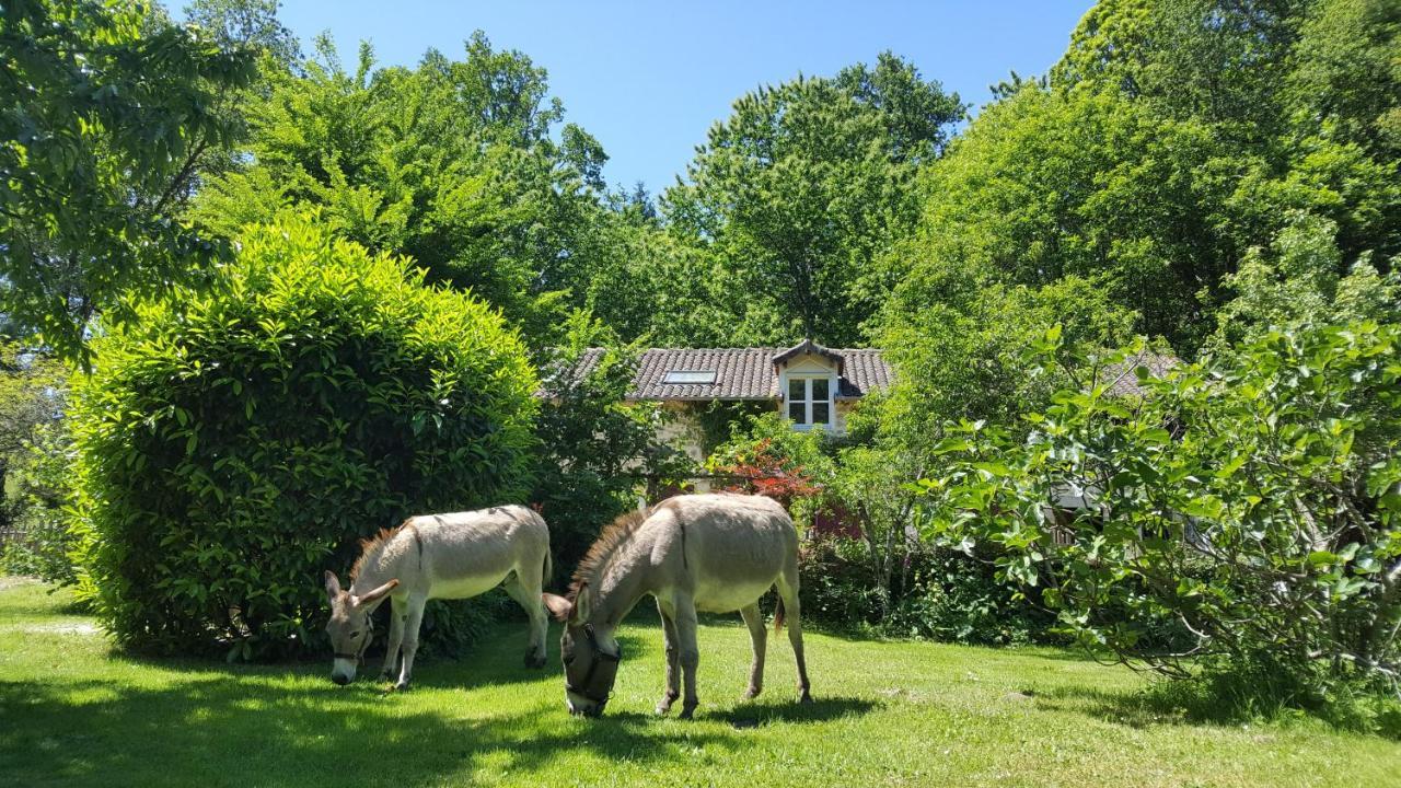 Le Moulin De - Pensol