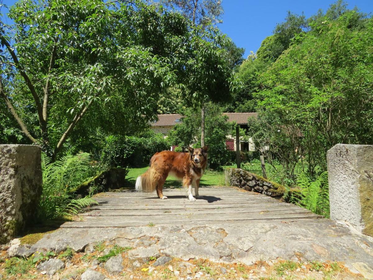 Le Moulin De - Сasa de vacaciones Pensol