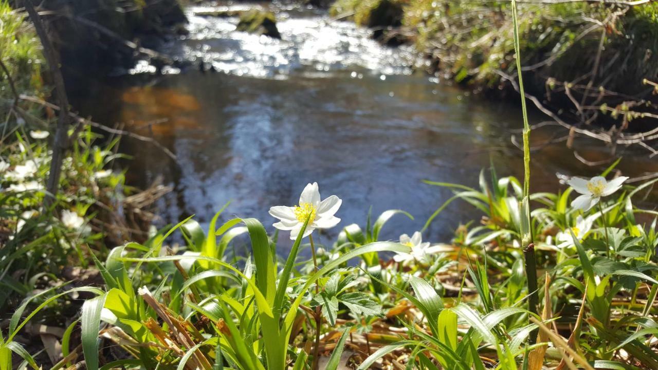 Le Moulin De -